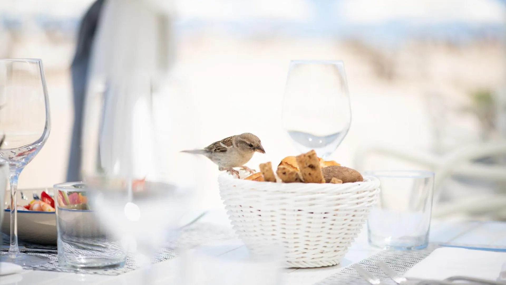 Grand Hotel Rimini 5*,  İtalya
